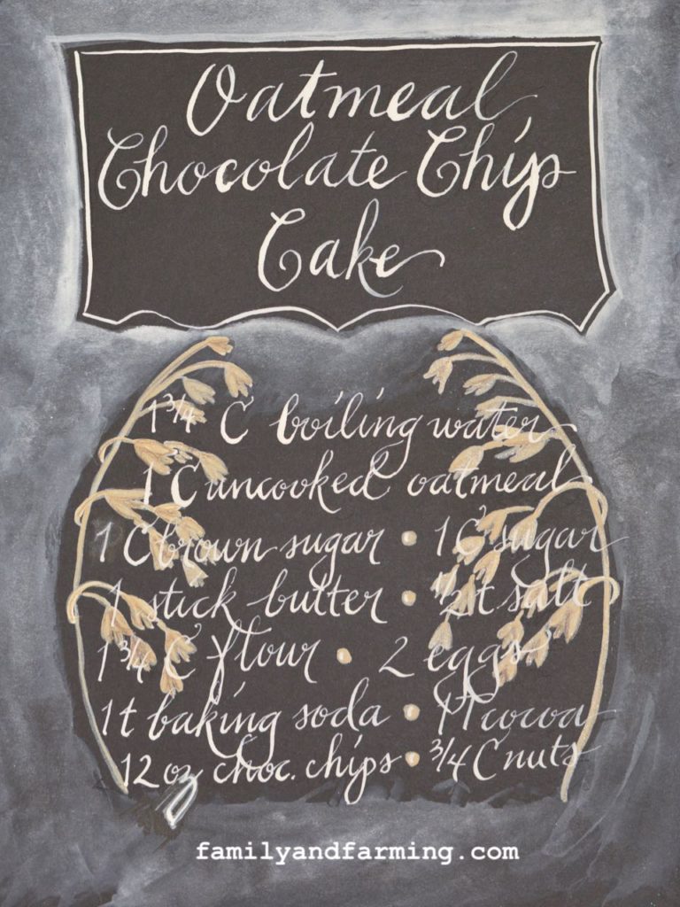 Chocolate Chip Oatmeal Cake Recipe