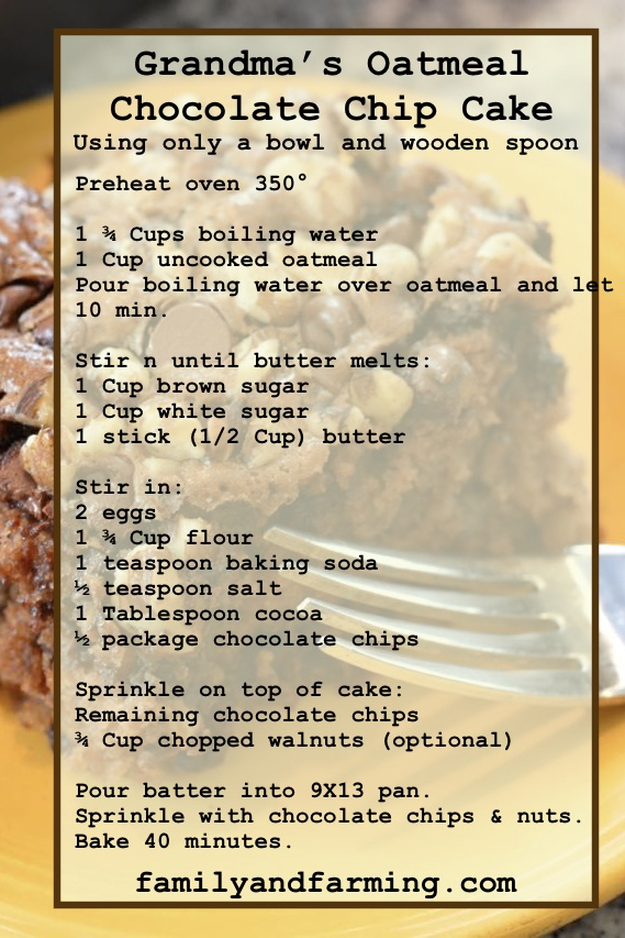 Oatmeal Chocolate Chip Cake Recipe