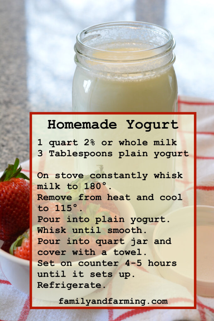 Homemade Yogurt Recipe