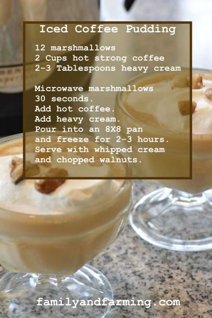 Iced Coffee Pudding Recipe