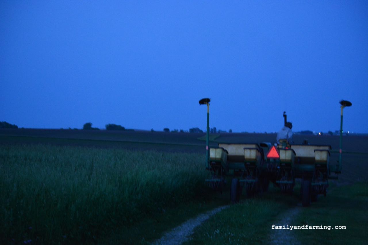 Planting a corn field in the dusk.