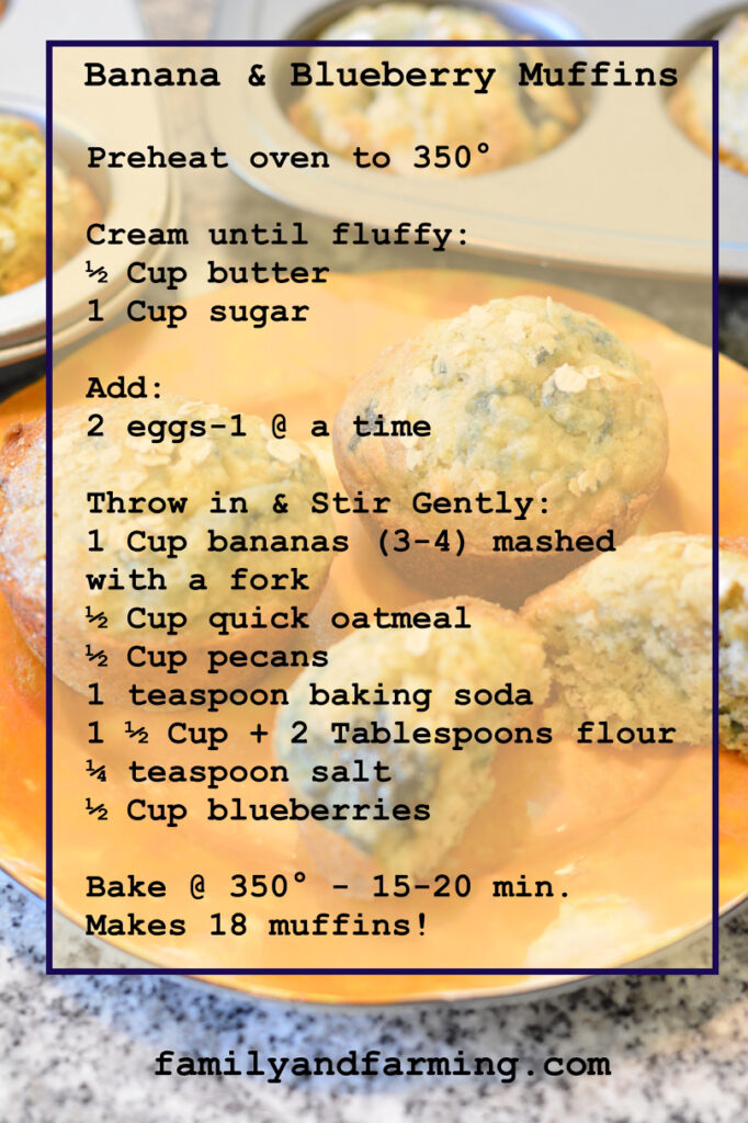 Banana Blueberry Muffin Recipe