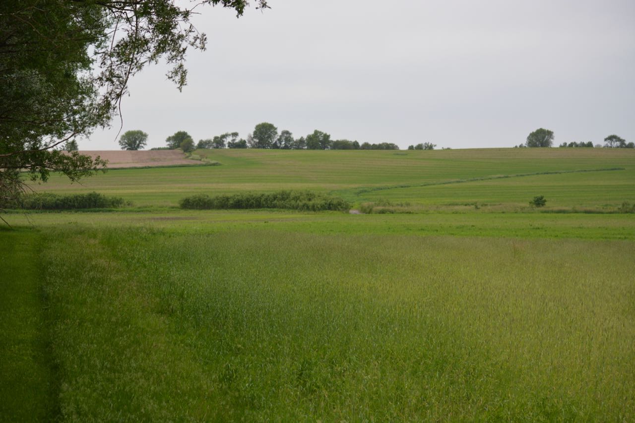 photo of farm field