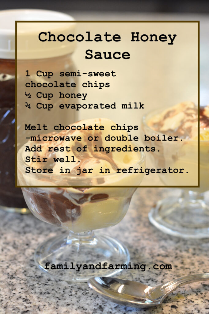 Chocolate Honey Sauce Recipe