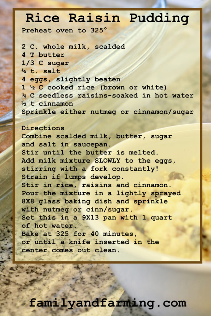 Rice Raisin Pudding Recipe