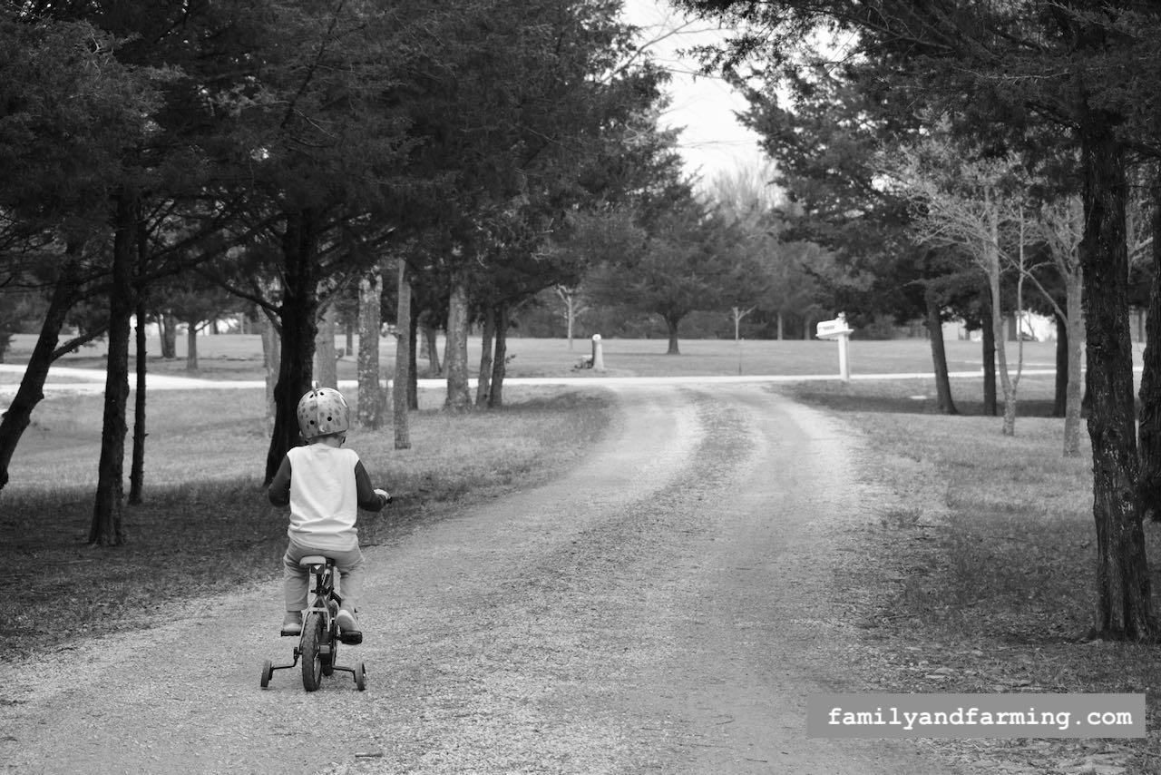 A little boy on a bicycle