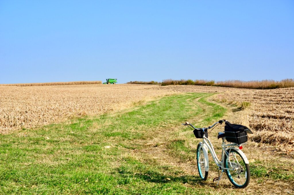 Bicycle Path in a Field