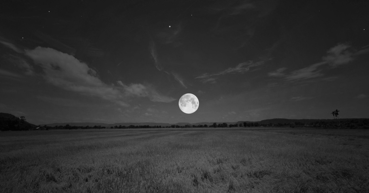 Full Moon Over Field