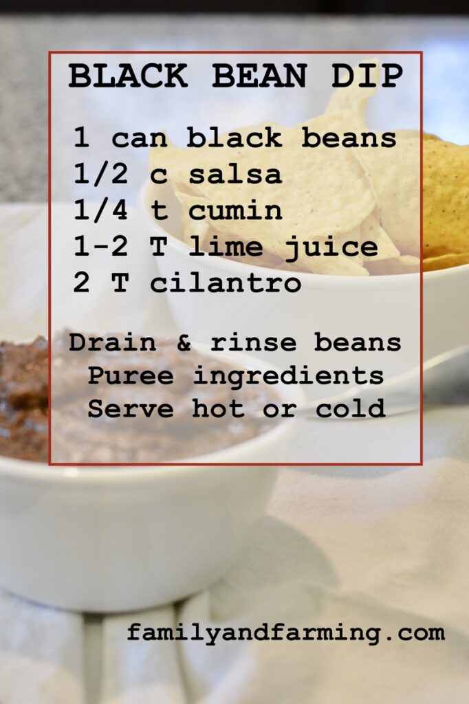 Pureed Black Bean Dip Recipe