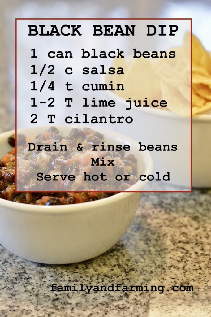 Whole Black Bean Dip Recipe