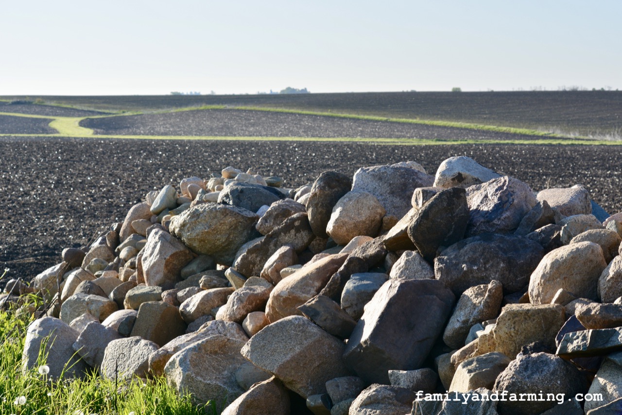 A Field With Rocks