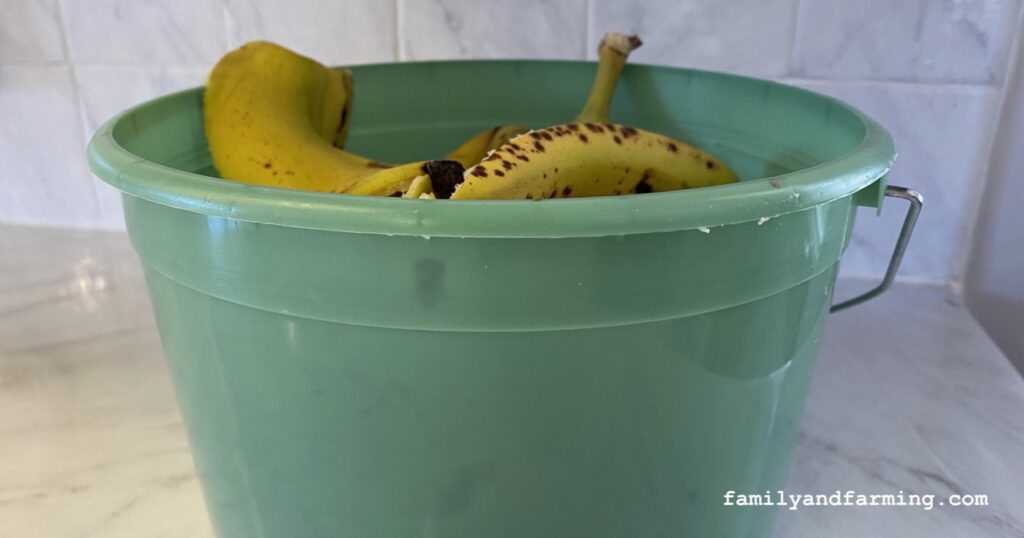 Vegetables in Compost Bucket