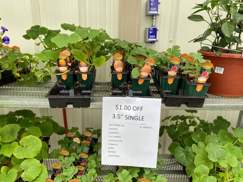 Plants on Sale