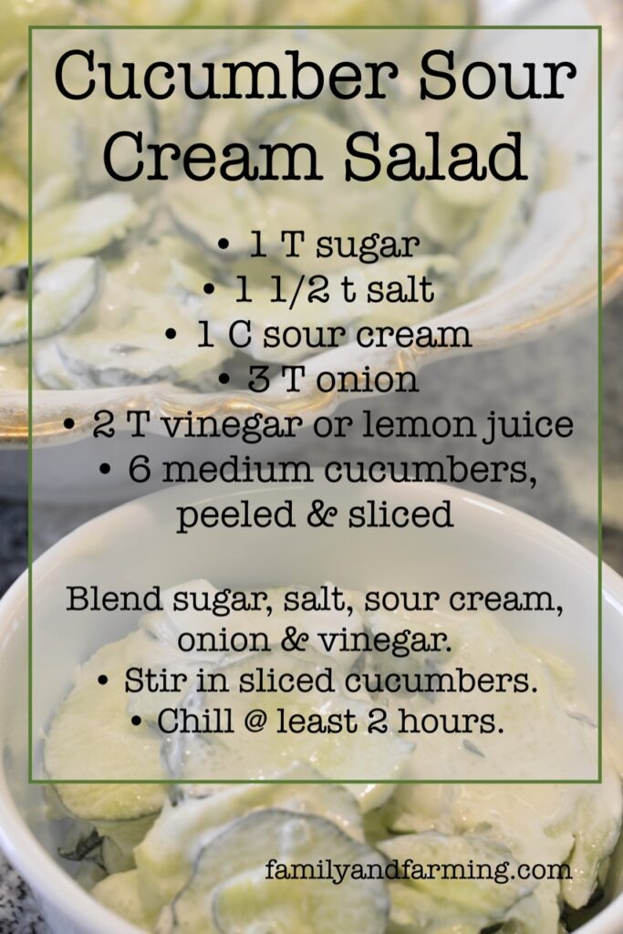 Cucumber Sour Cream Salad Recipe