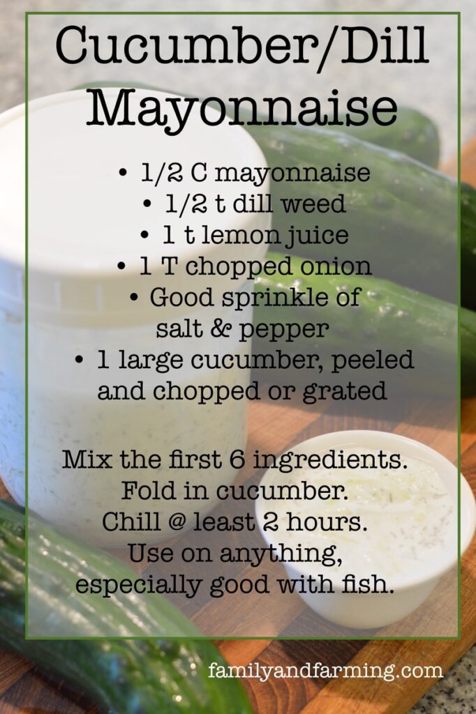 Cucumber Dill Mayonaise Recipe
