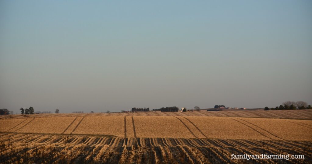 Harvested Field in Iowa